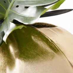 Greer Vase 11 Greer Vase -Online Furniture Sale 120209073 4 54063.1690281649.386.513