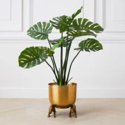 Nikki Chu - Jaguar Planter -Online Furniture Sale 122424803 71996.1690292789.386.513