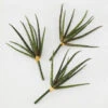 Faux Snake Grass Pick - Set Of 3 -Online Furniture Sale 209204912 1 88389.1690278983.386.513 1
