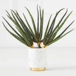 Faux Snake Grass Pick - Set Of 3 -Online Furniture Sale 209204912 67761.1690278982.386.513 1