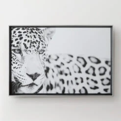 Majestic Calm -Online Furniture Sale 725121331 87862.1690292326.386.513