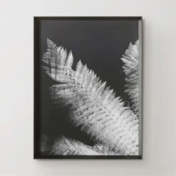 Tropical Palm Duet -Online Furniture Sale 725183312 71425.1690292285.386.513