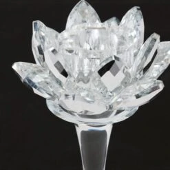 Lotus Stem Taper Holder -Online Furniture Sale webimage 143362280 143362281 DTL