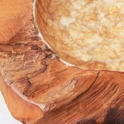 Organic Capiz Bowl -Online Furniture Sale webimage 160160778 DTL