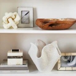 Organic Capiz Bowl -Online Furniture Sale webimage 160160778 rv1 jpg