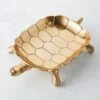 Nikki Chu - Tortoise Plate -Online Furniture Sale webimage 160219677 jpg
