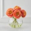 Ranunculus In Glass - Sunset -Online Furniture Sale webimage 168102844 jpg