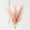 Pampas Grass - Set Of 3 2 Pampas Grass - Set Of 3 -Online Furniture Sale webimage 168154275 jpg