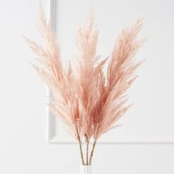 Pampas Grass - Set Of 3