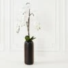 Nikki Chu - Orchid In Black Vase 2 Nikki Chu - Orchid In Black Vase -Online Furniture Sale webimage 168213601