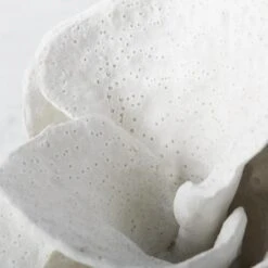 Coral Bookends -Online Furniture Sale webimage 186978354 2 jpg 1