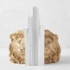 Lion Head Bookends -Online Furniture Sale webimage 186978356 jpg