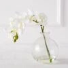 Phaleanopsis 1 Stem With Glass -Online Furniture Sale webimage 200010845 jpg