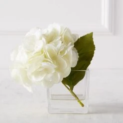 Hydrangea In Glass Vase