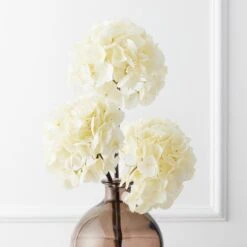 French Hydrangea Stem - Set Of 3