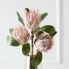 Protea Queen Spray - Set Of 3