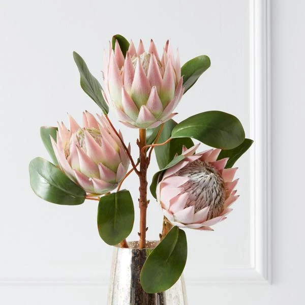 Protea Queen Spray - Set Of 3 3 Protea Queen Spray - Set Of 3