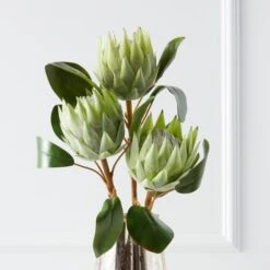 Protea Queen Spray - Set Of 3