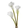 Faux Calla Lily - Set Of 3 2 Faux Calla Lily - Set Of 3 -Online Furniture Sale webimage 200203662 jpg