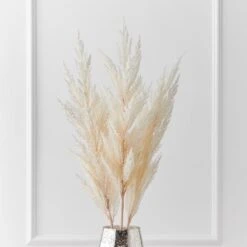 Pampas Grass - Set Of 3