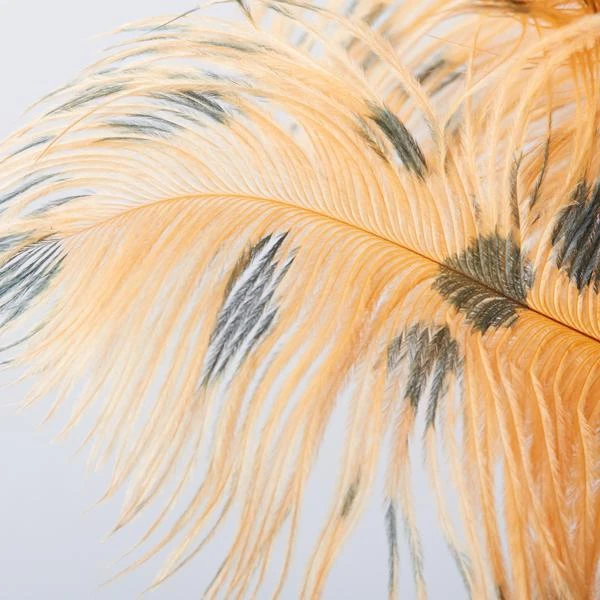 Ostrich Spray - Set Of 3 4 Ostrich Spray - Set Of 3 - Image 2