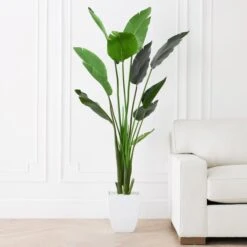 Faux Palm Tree -Online Furniture Sale webimage 206176637 alt1