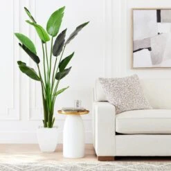 Faux Palm Tree -Online Furniture Sale webimage 206176637 alt5 Faux Palm Tree rv