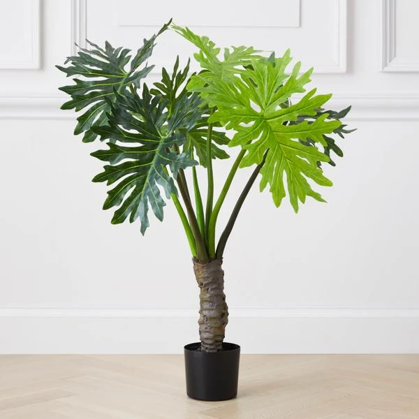 Plume Leaf Tree 3 Plume Leaf Tree