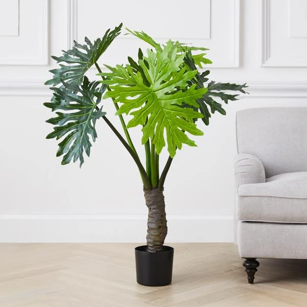 Plume Leaf Tree 4 Plume Leaf Tree - Image 2