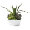 Faux Aloe And Succulent Geo Pot -Online Furniture Sale webimage 207157001 jpg 1