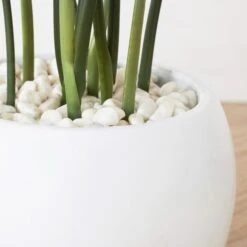 Faux Potted Water Canna -Online Furniture Sale webimage 207190249 dtl1