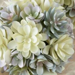 Faux Succulent Sphere -Online Furniture Sale webimage 207191139 DTL