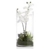 Faux Potted Orchid With Succulents 1 Faux Potted Orchid With Succulents -Online Furniture Sale webimage 207818656 jpg