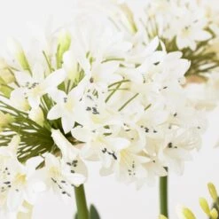 Faux Potted Agapanthus 12 Faux Potted Agapanthus -Online Furniture Sale webimage 207919622 dtl1