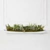 Succulent Assortment In Wood Tray -Online Furniture Sale webimage 207999710