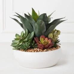 Succulent Assortment In Bowl