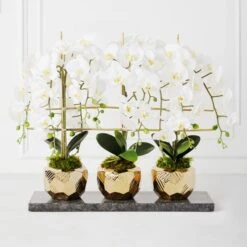 Orchid Trio With Granite Slab