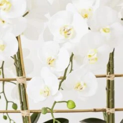 Orchid Trio With Granite Slab -Online Furniture Sale webimage 207999715 dtl2