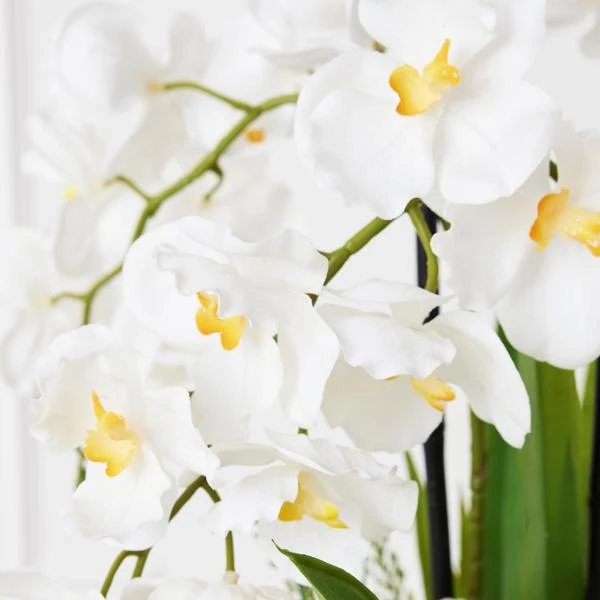 Orchids In Bowl With Stand 4 Orchids In Bowl With Stand - Image 2