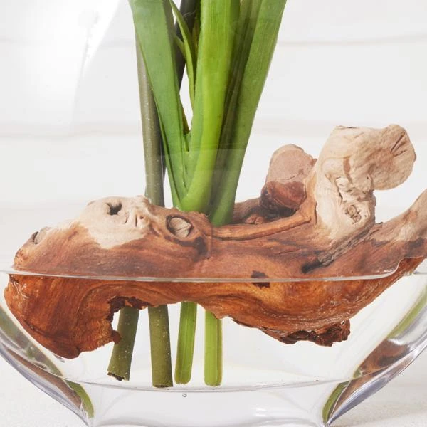 Cymbidium In Glass Vase 6 Cymbidium In Glass Vase - Image 4