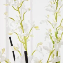 Orchids In Glass Bowl -Online Furniture Sale webimage 207999723 dtl2