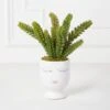 Selfie Succulents In Face Planter -Online Furniture Sale webimage 207999751