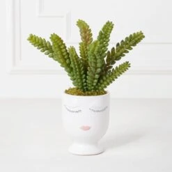 Selfie Succulents In Face Planter