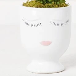 Selfie Succulents In Face Planter -Online Furniture Sale webimage 207999751 dtl2