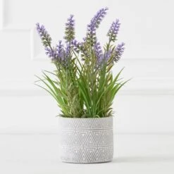 Lavender In Grey Pot