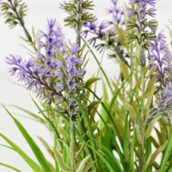 Lavender In Grey Pot 7 Lavender In Grey Pot -Online Furniture Sale webimage 207999958 dtl2 1