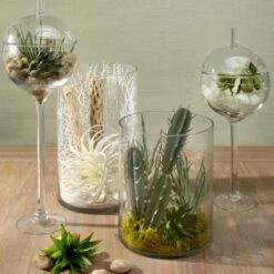 Faux Air Plant -Online Furniture Sale webimage 209172845 rv1 jpg