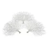 Faux Coral Fan - Set Of 3