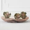 Faux Echeveria Succulent Pick 2 Faux Echeveria Succulent Pick -Online Furniture Sale webimage 209200688 1