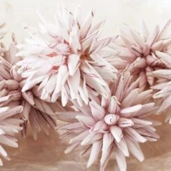 Faux Allium Sphere - Set Of 9 -Online Furniture Sale webimage 209202507 dtl